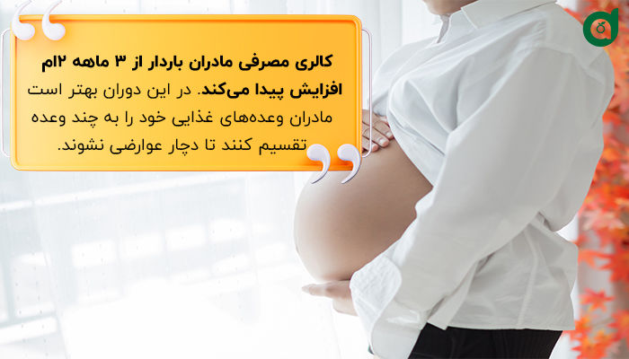 میزان کالری مورد نیاز در رژیم بارداری بسته به دوره سه ماهه مادر متفاوت است.
