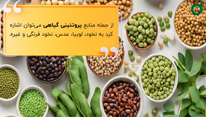 در رژیم گیاهخواری منابع پروتئین گیاهی را باید جایگزین حیوانی کنیم.